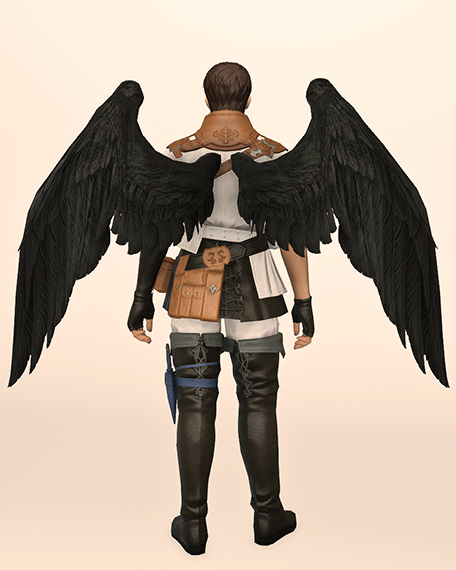 Fallen Angel Wings Back Image
