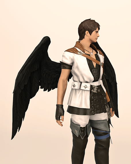Fallen Angel Wings Cover image