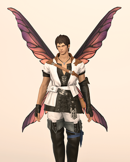 Pixie Wings Front Image