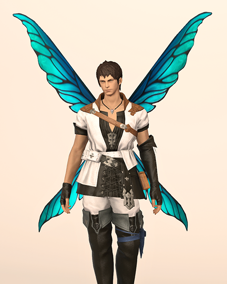 Bluepowder Pixie Wings Front Image