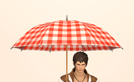 Cheerful Checkered Parasol Front Image