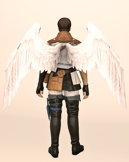 Angel Wings Back Image