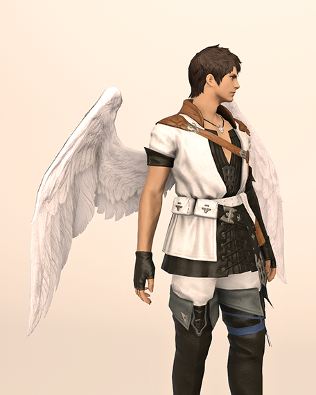 Angel Wings Cover image