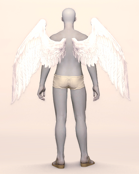 Angel Wings Back Image