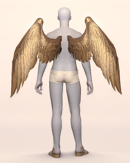 Archangel Wings Back Image