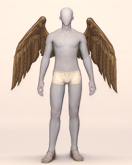 Archangel Wings Front Image
