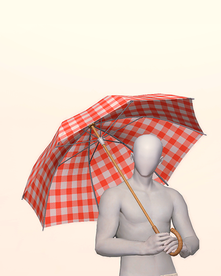 Cheerful Checkered Parasol Pose image