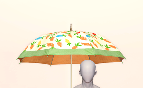 Colorful Carrotsol Front Image
