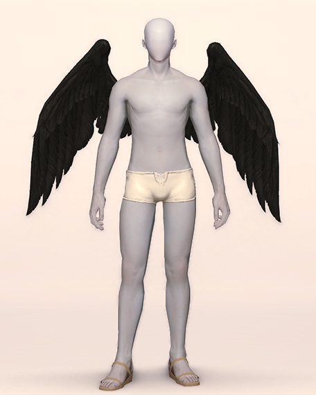 Fallen Angel Wings Front Image