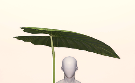 Giant Leaf Parasol Front Image