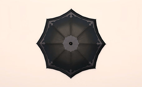 Parasol Top Image