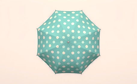 Pastoral Dot Parasol Top Image