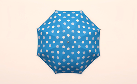 Pleasant Dot Parasol Top Image