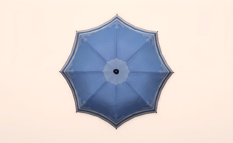 Sky Blue Parasol Top Image